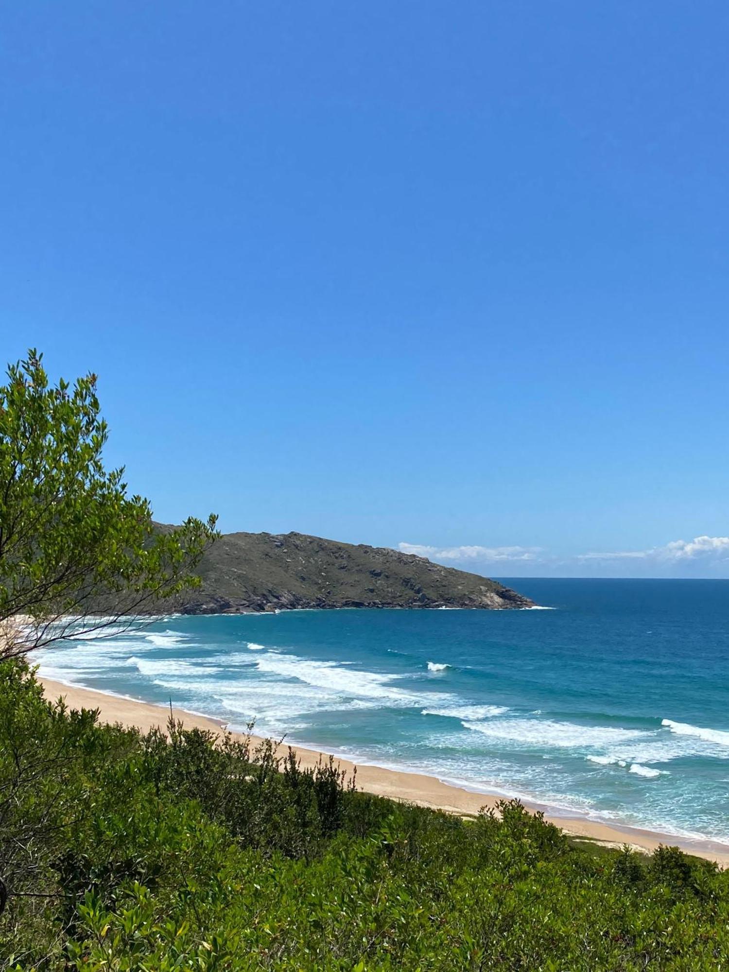 Pequi Hostel Florianopolis Ngoại thất bức ảnh