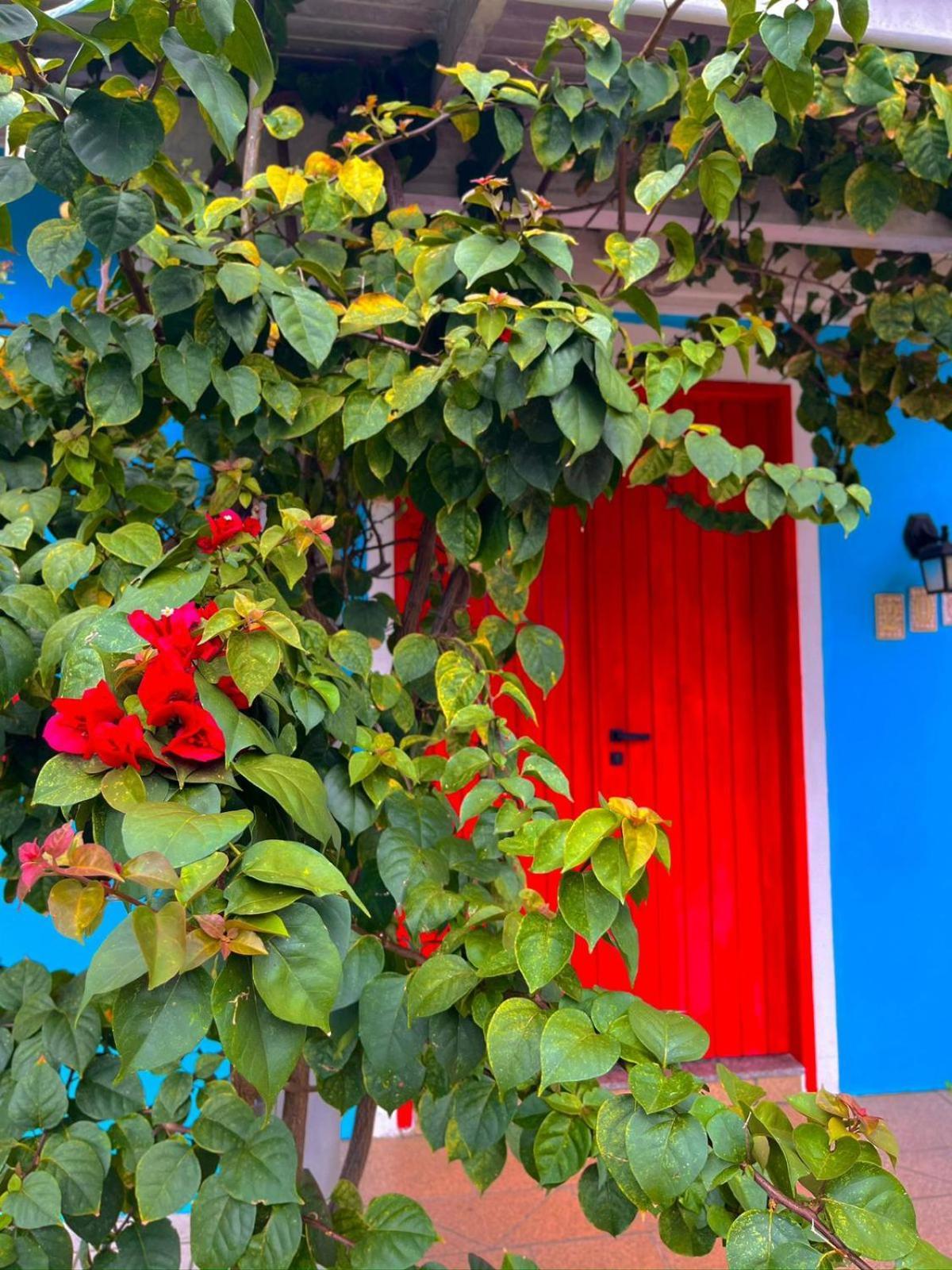 Pequi Hostel Florianopolis Ngoại thất bức ảnh