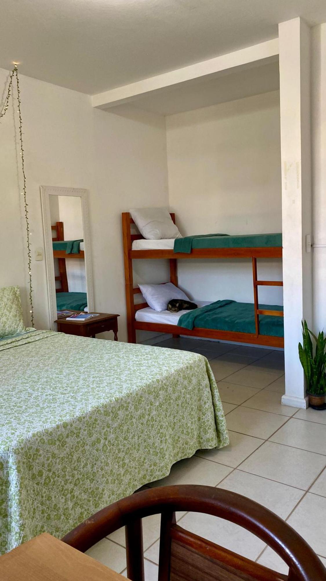 Pequi Hostel Florianopolis Ngoại thất bức ảnh